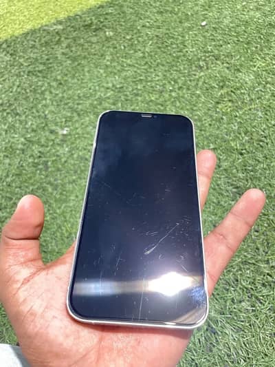 Apple iPhone 12 Pro Max