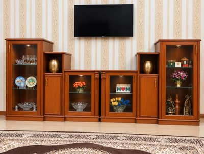 showcase furniture for TV room or living room