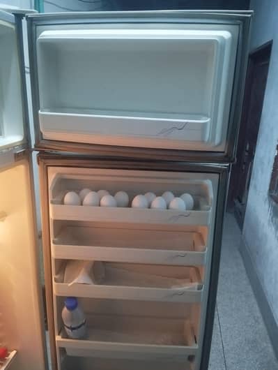 kitchen Fridge