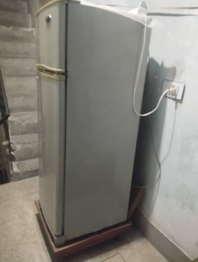 kitchen Fridge 4