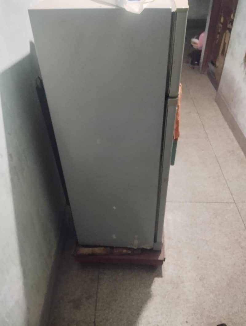 kitchen Fridge 6