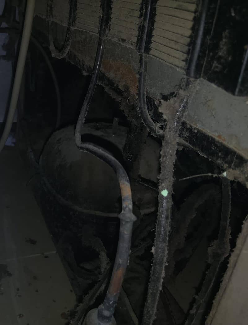 fridge 0