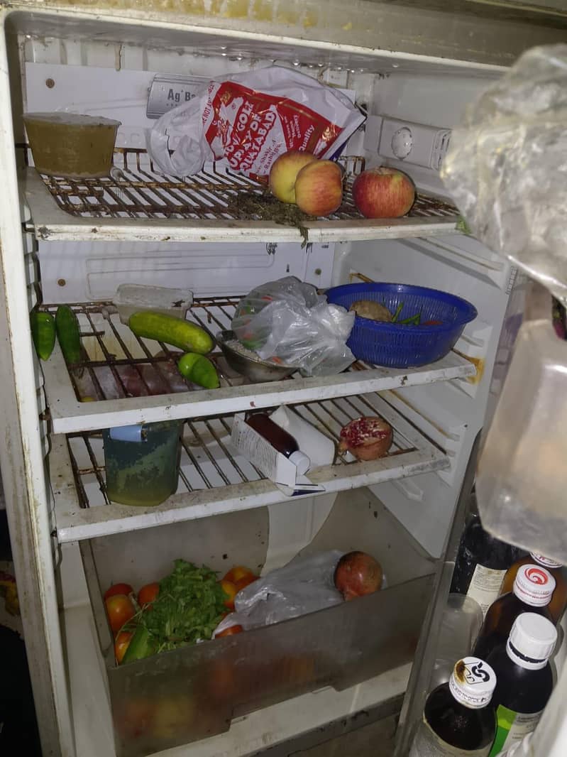fridge 3