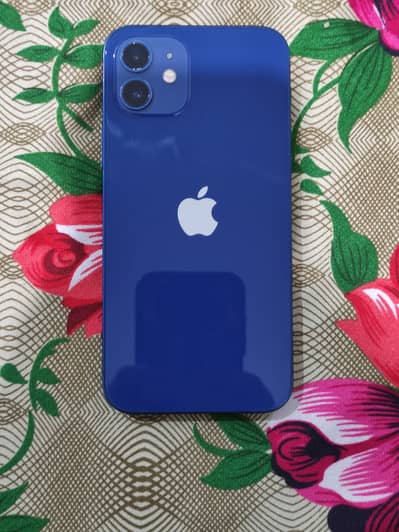 Apple iPhone 12 MDM