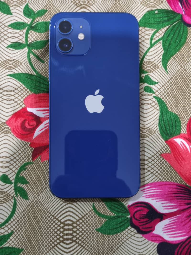 Apple iPhone 12 1