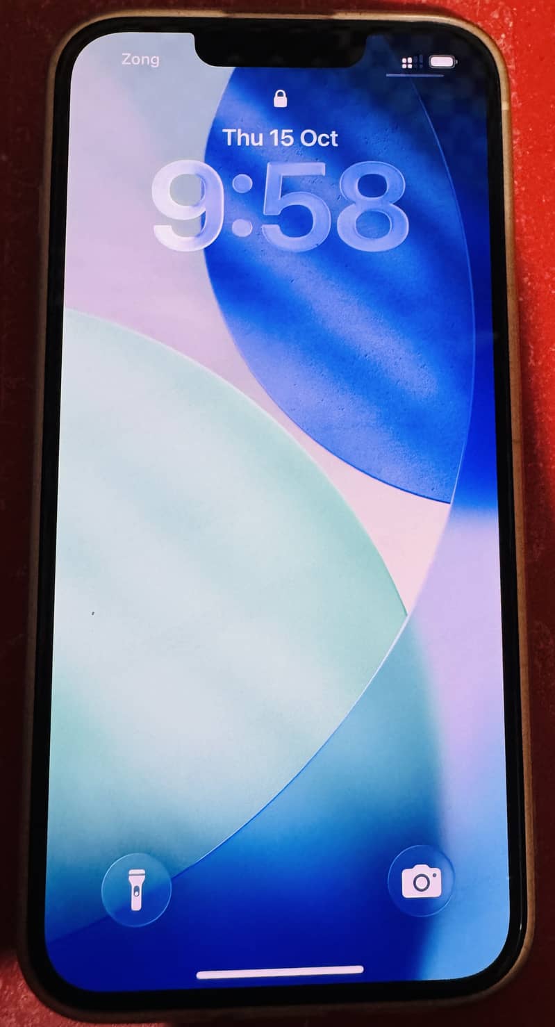 Apple iPhone 13 0