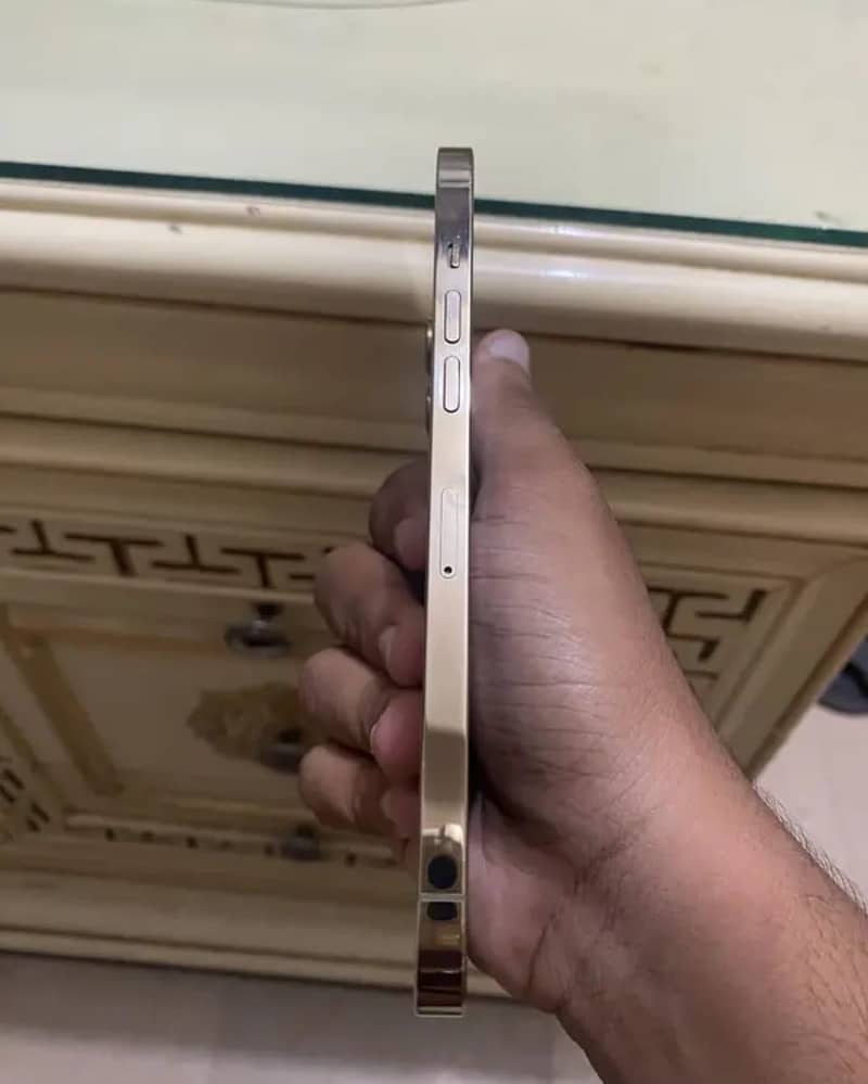 Apple iPhone 12 Pro Max 0