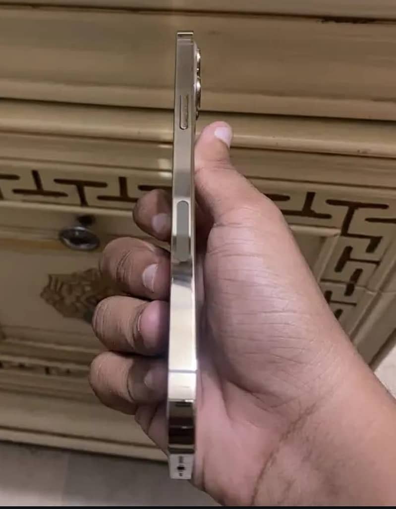 Apple iPhone 12 Pro Max 2