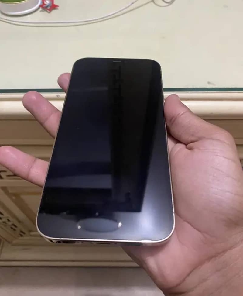Apple iPhone 12 Pro Max 6