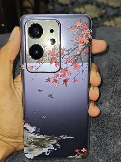 Realme GT 6 PTA