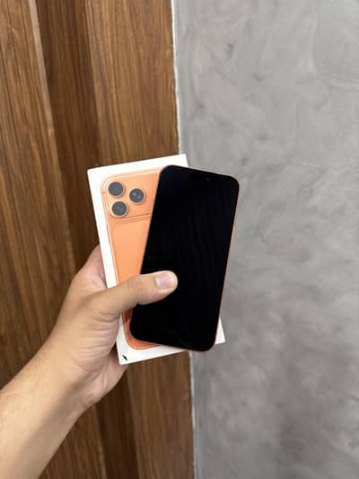 Apple iPhone 17 Pro Max 256GB Non Pta