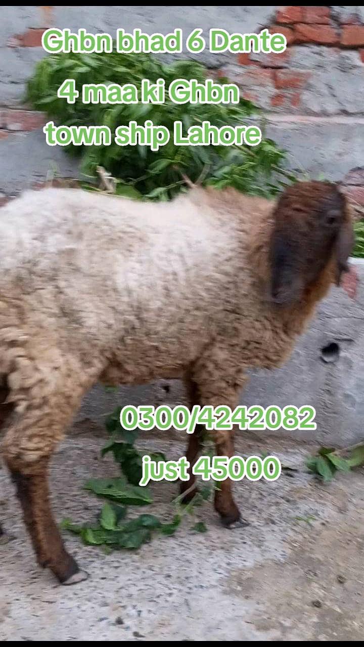 path 35000 5