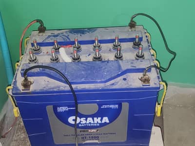 OSAKA TUBLAR BATTERIES  2 pcs