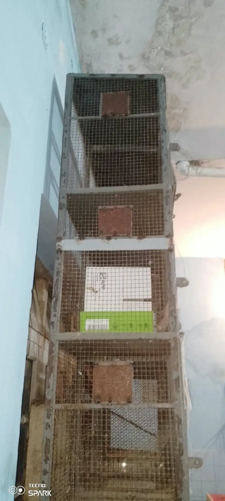 7Ft Heavy Steel Bird/Parrot Cage (Massive Build) — photo 5
