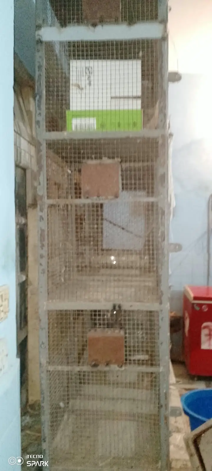 7Ft Heavy Steel Bird/Parrot Cage (Massive Build) — photo 6