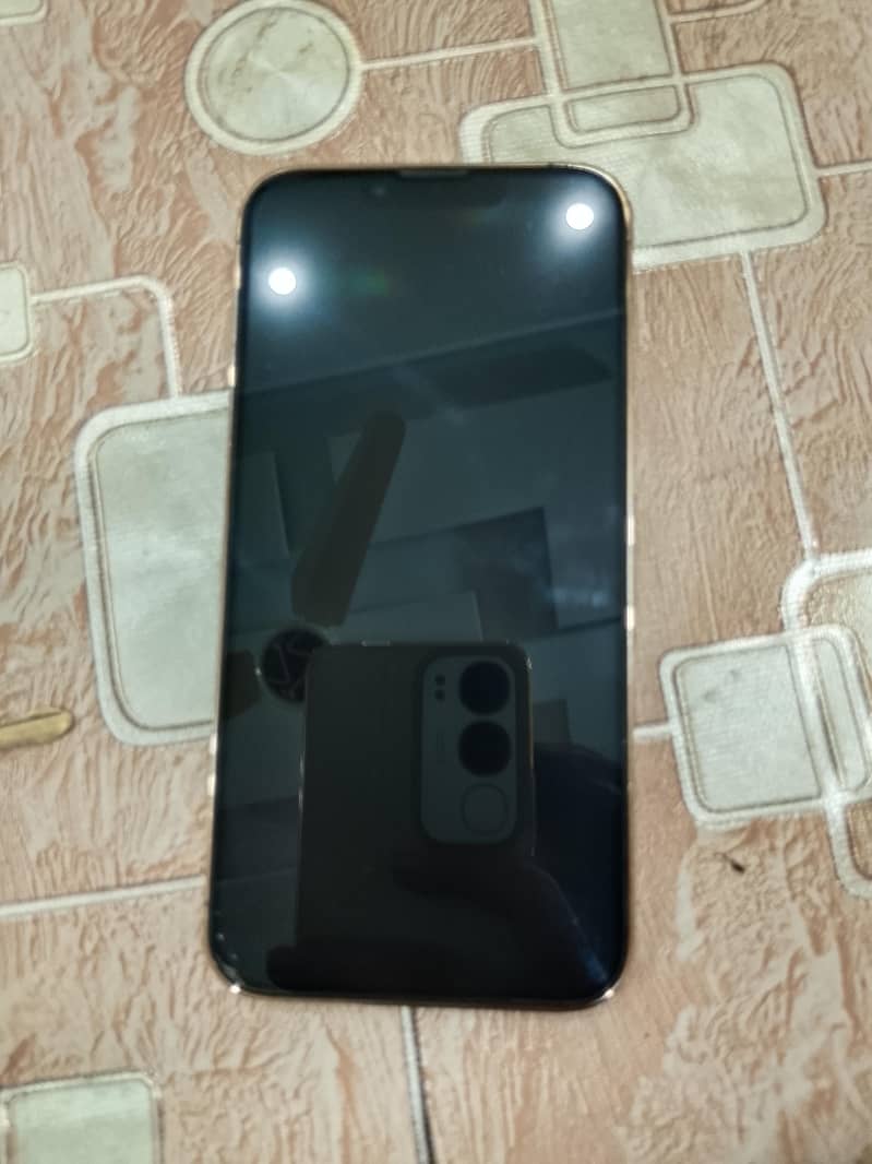 Apple iPhone 13 Pro 1