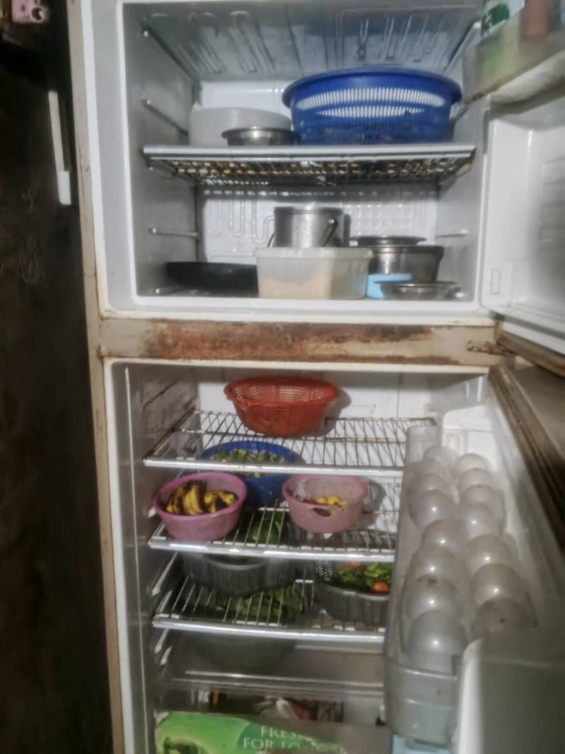 Normal Size Fridge. Normal Cooling 1