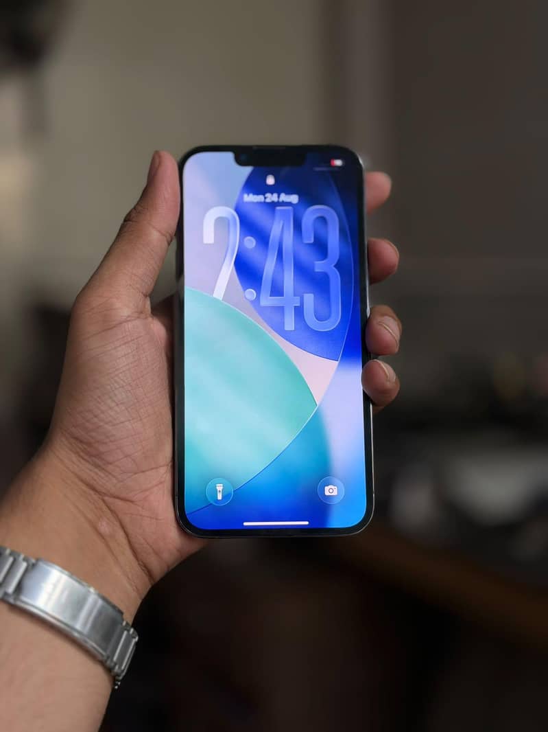 Apple iPhone 13 Pro Max 2