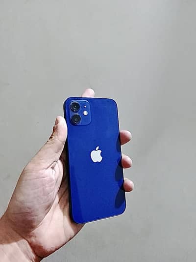 Apple iPhone 12