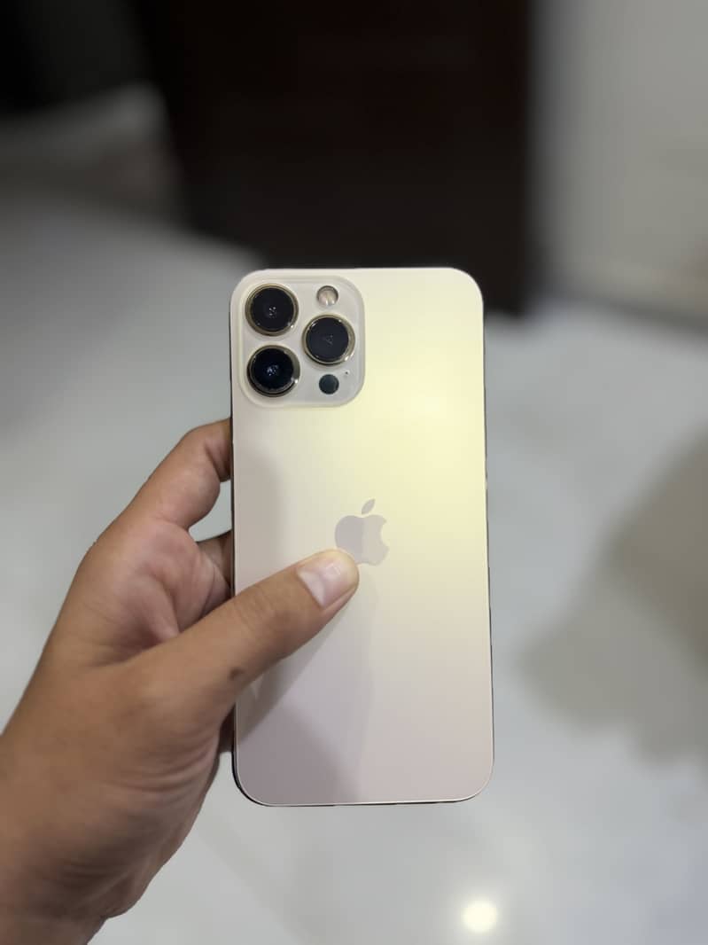 Apple iPhone 13 Pro Max 1