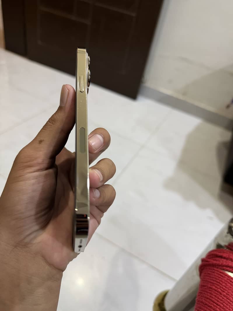 Apple iPhone 13 Pro Max 5