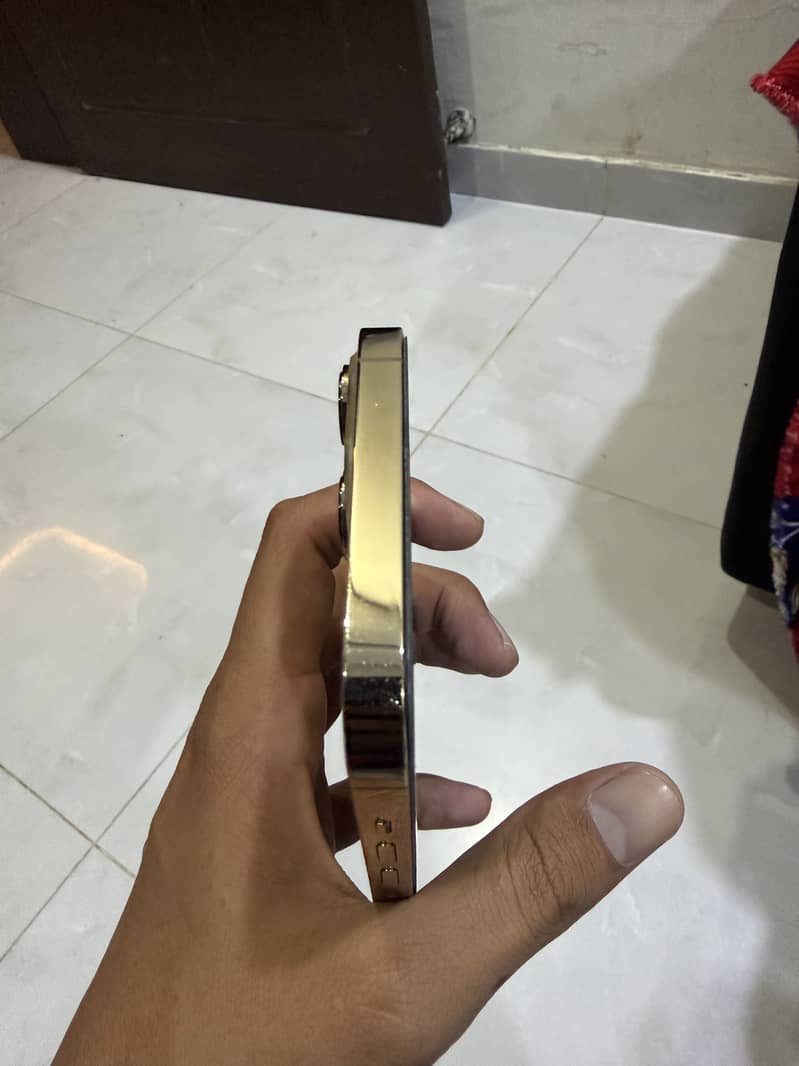 Apple iPhone 13 Pro Max 6
