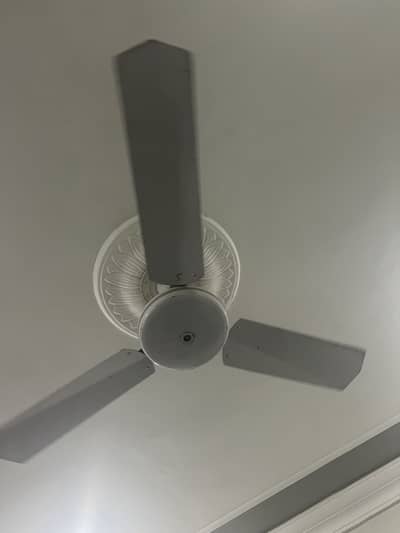 Ceiling  Fan for sale, Room Fan for sale