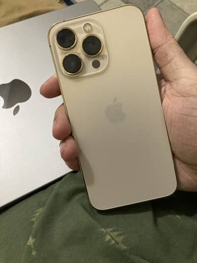 Apple iPhone 13 Pro physical dual pta