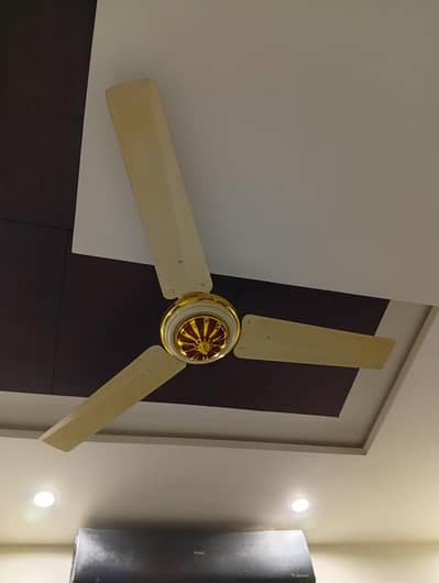 Gold Asia Ceiling Fans – Excellent Condition (5 Available)