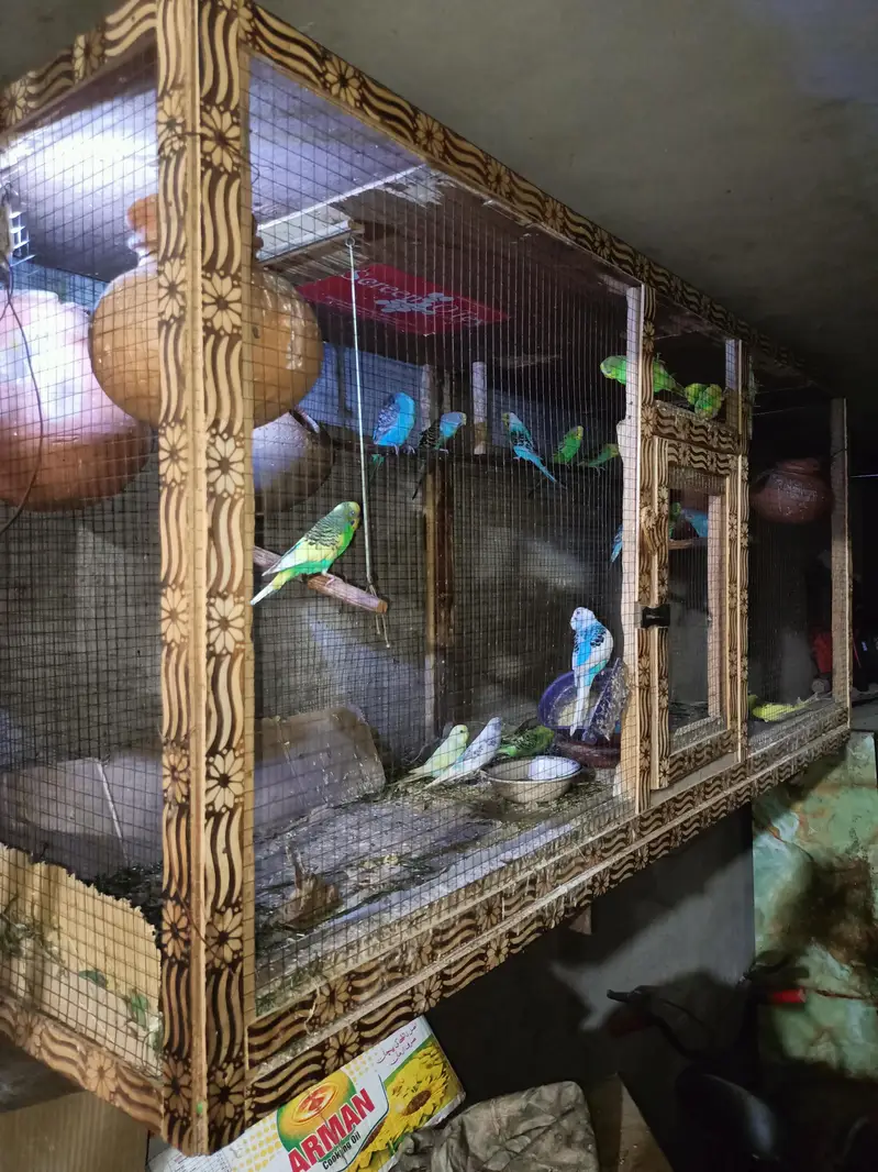 Cage for birds Size 6FT*3FT+2.5FT — photo 3