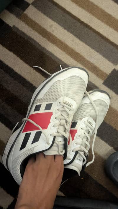 gray Nicolas original cricket spikes
