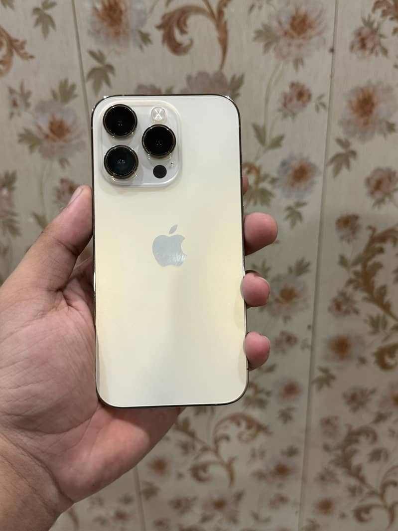 Apple iPhone 14 Pro 1