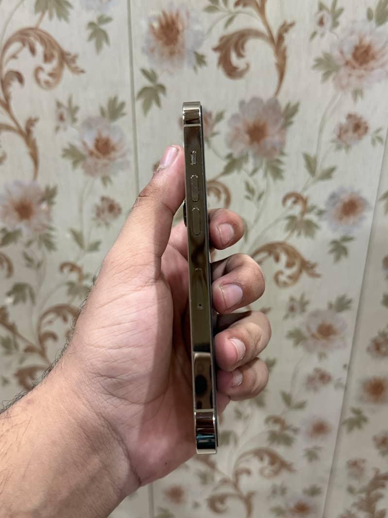 Apple iPhone 14 Pro 3