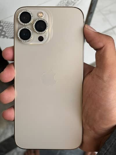 Apple iPhone 13 Pro Max