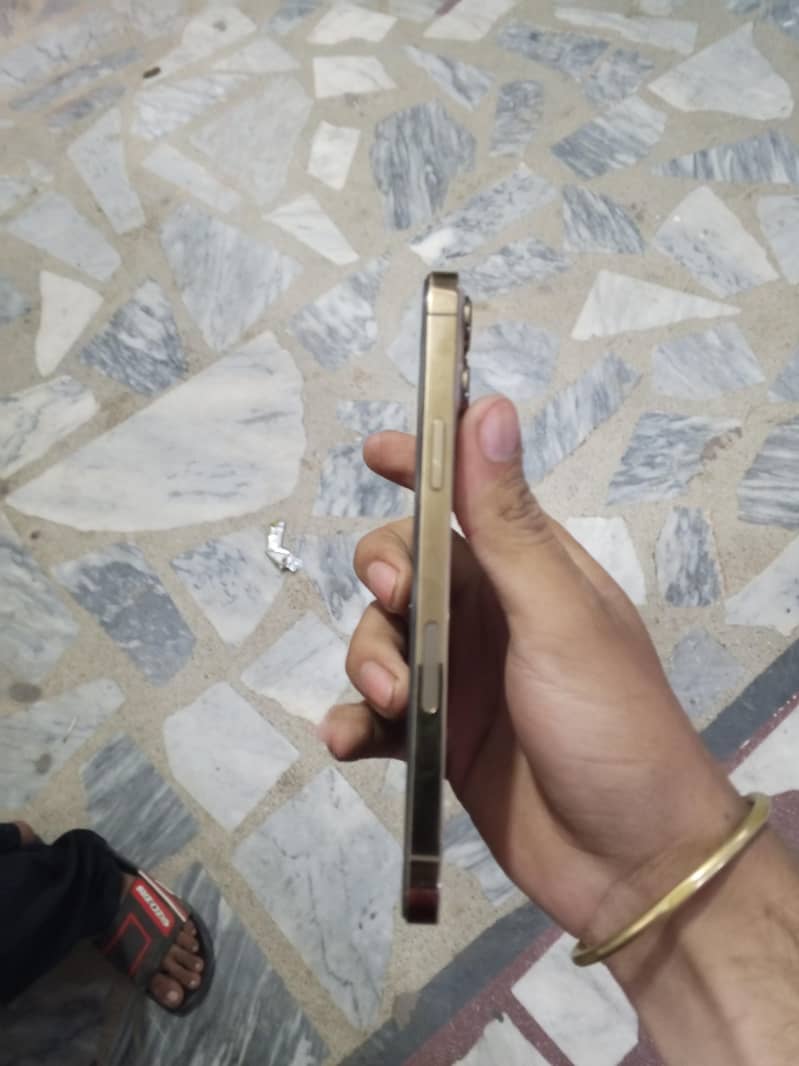 Apple iPhone 13 Pro Max 3