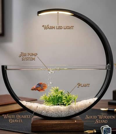 Moon Aquarium – A Touch of Luxury for Your Home!