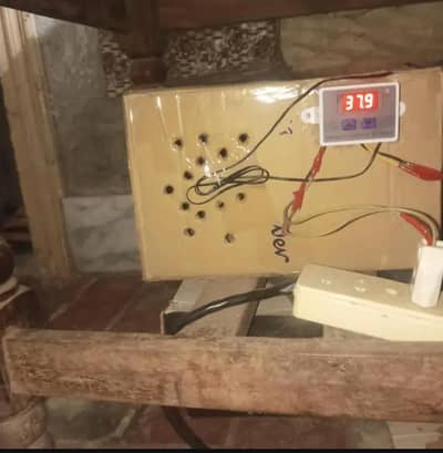 Home made Incubator