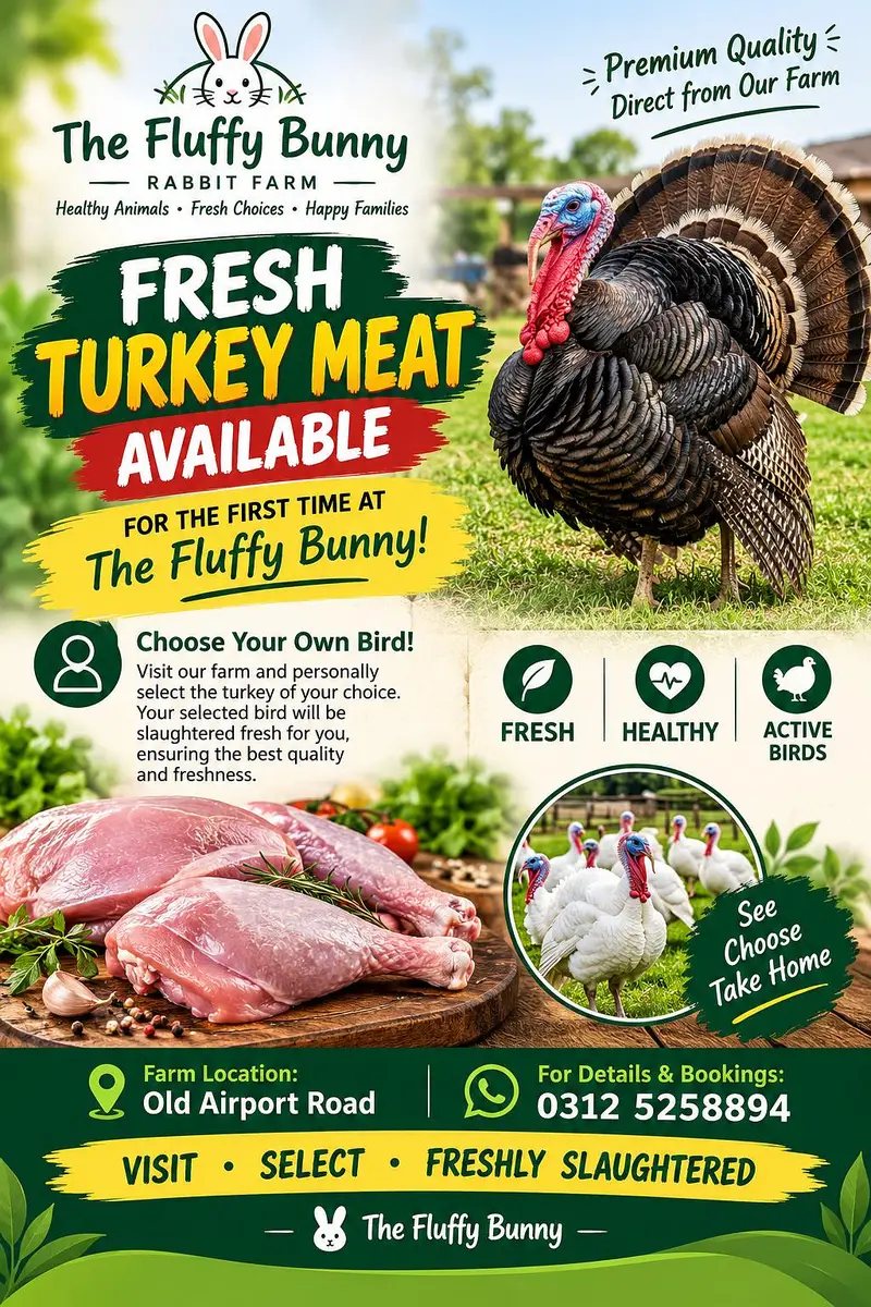 fresh turkey meat 2200/kg — photo 2