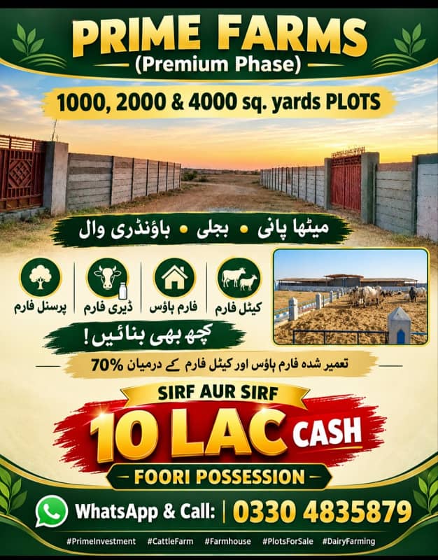 Cattle farm 0