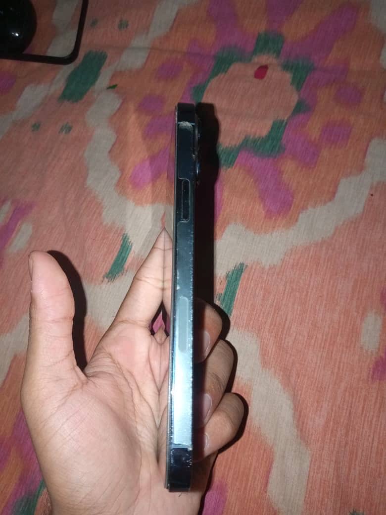 Apple iPhone 13 Pro Max 1