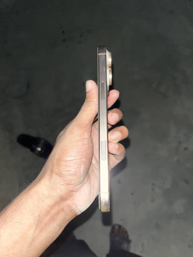 Apple iPhone 16 Pro Max 1