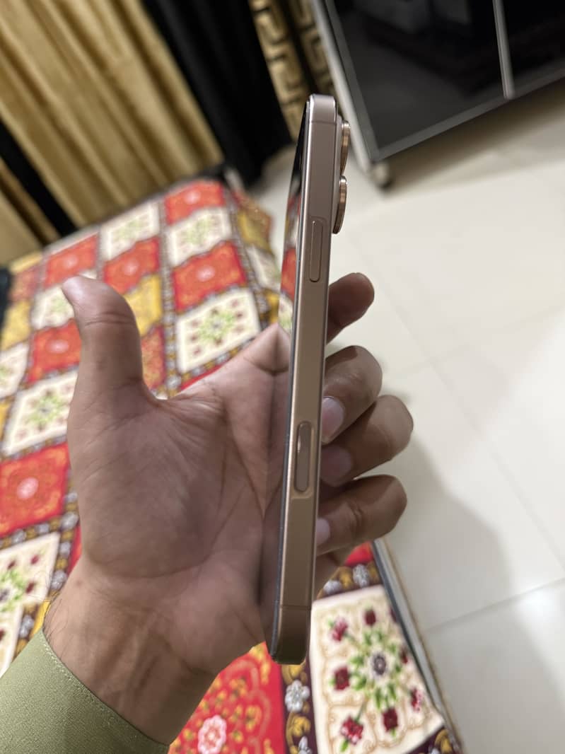 Apple iPhone 16 Pro Max 2