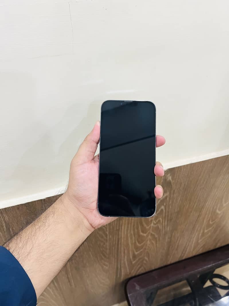 Apple iPhone 13 Pro Max 6