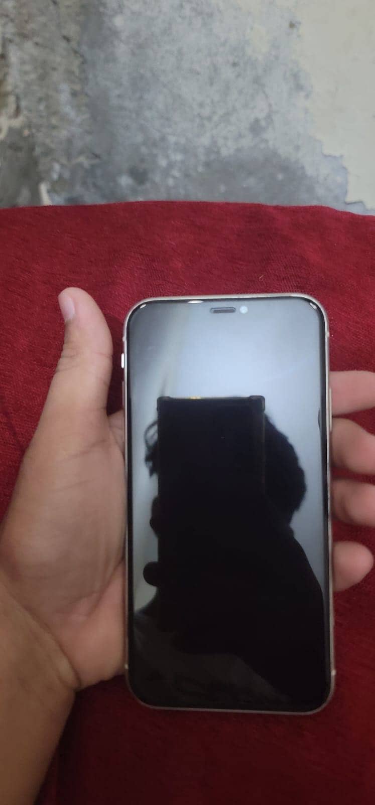 Apple iPhone 11 5