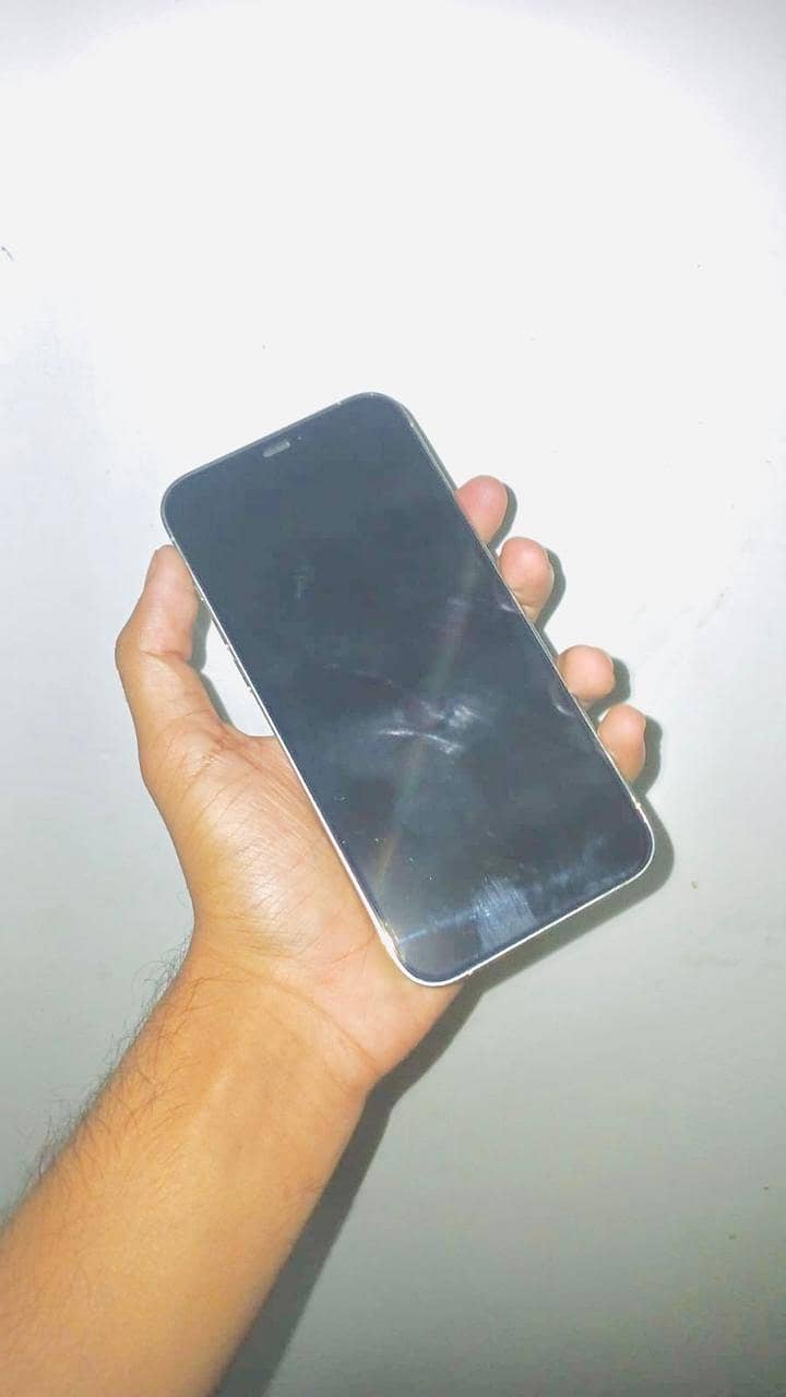 Apple iPhone 12 Pro Max 1