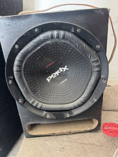 Car basser plus woofer and speeker