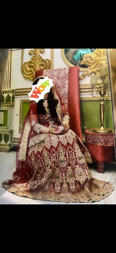 bridle Net lehnga
