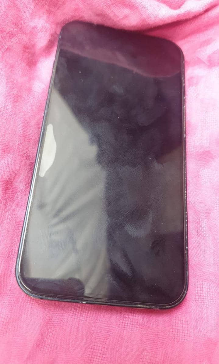 Apple iPhone 13 0