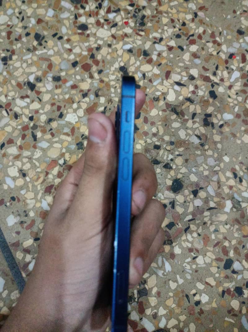 Apple iPhone 12 1