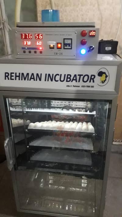 Incubator for 660 eggs